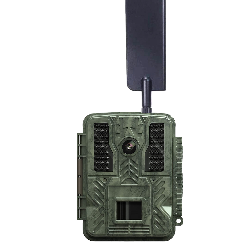 OEM ODM 36MP FHD drahtlose SIM-Karte zellulare Infrarot-Hinterkamera für die Jagd 